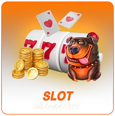 SLOT 1_result