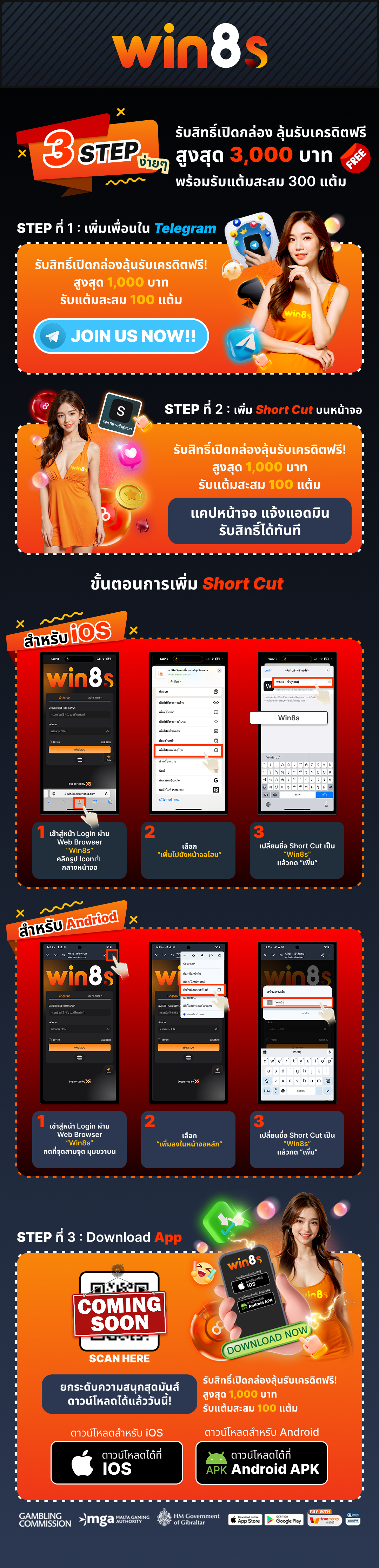 Win8s (1)